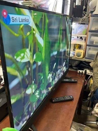 リサイクルショップどりーむ天保山店 No12536 TV テレビ グリーン