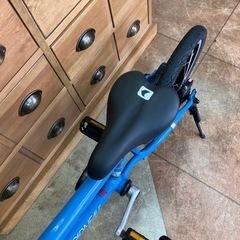 7/10 値下げ🚲極美品🚲LOUIS GARNEAU 16インチ キッズ自転車 LGS-K16 lite ルイガノ 582
