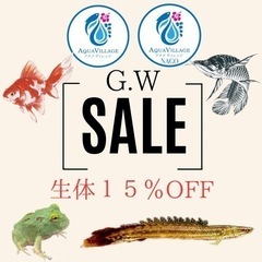 G.WSALE開催！