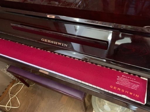ガーシュイン No800