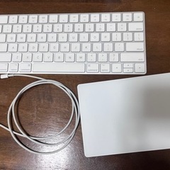 Apple Keyboard (US) Track Pad