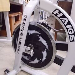 ハイガー スピンバイク EXERCISE BIKE 白 HAIGE エクササイズバイク