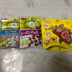 チョコお菓子★レーズンチョコ&サク山チョコ次郎3点セット