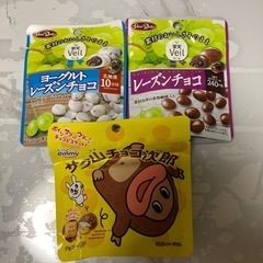 チョコ菓子★レーズンチョコ／チョコ次郎3点