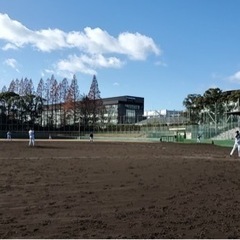 大阪南部野球熱意のある選手募集‼️