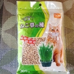 DCM ねこ草の種200g