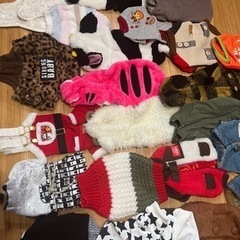 犬用、高級洋服まとめ売りサイズ1とxsがほとんどです。