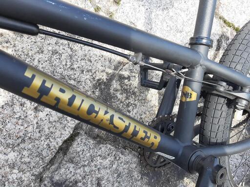 BMX TNB BMX TRICK STAR 自転車