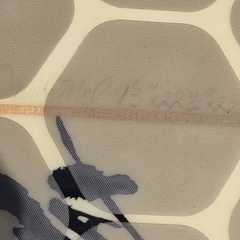 LONGBOARD MEL（中古）