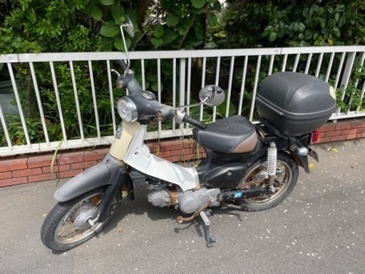 リトルカブ リトルカブ 81cc登録