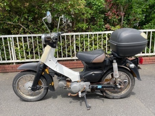 リトルカブ　81cc登録