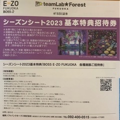 【ネット決済・配送可】teamLab★Forestペア招待券