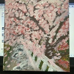 桜の木の並木道