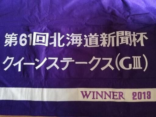 2013年  クイーンステークス　勝馬　馬着　未使用品