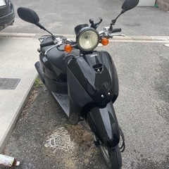 ホンダ　トゥデイ　実動車　原付50cc スクーター　バイク