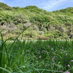 移住定住・農相談　井原市　5月25日