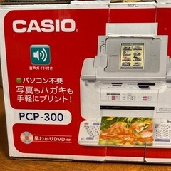 【ネット決済・配送可】CASIO PCP-300