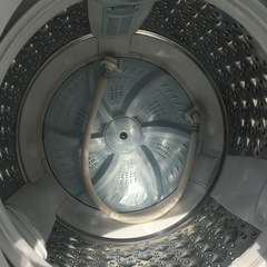 東芝　TOSHIBA  7.0Kg全自動洗濯機　AW-7D7 2019年製