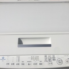 東芝　TOSHIBA  7.0Kg全自動洗濯機　AW-7D7 2019年製