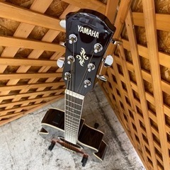 愛品館 江戸川店】YAMAHA（ヤマハ）エレアコ ID:125-010997-007