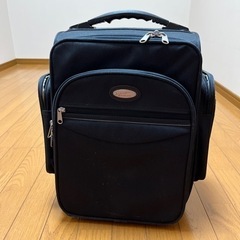 【5/12まで】ANA travel CARGO布製スーツケース