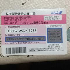 【ネット決済・配送可】ANA優待券一枚