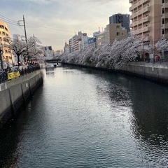 GW空いてます。