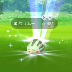 ポケモンGO友達💕