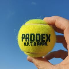 パドルテニスはじめてみませんか！ まずは体験から！　（練馬区で活動中） - スポーツ