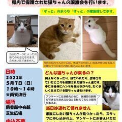 ★保護猫譲渡会 in 高根沢町