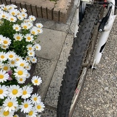 🆙🆙　ＭＴＢ自転車　２６インチ　3x7変速　赤　配達可能