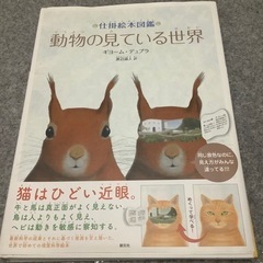 動物の見ている世界