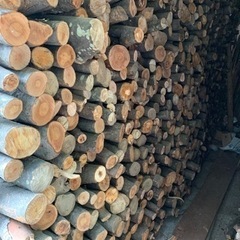 軽トラ満載1台分　欅など　薪　薪ストーブ　堅木　乾燥済み　石川県白山市