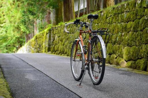 お買い得】ARAYA 自転車（ランドナー） リアキャリア付