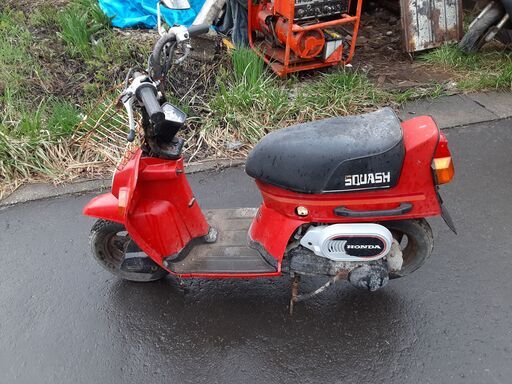 HONDA SQUASH:ジャンク50cc（部品取りです）