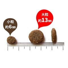 パーフェクション ポーク 小粒 6kg