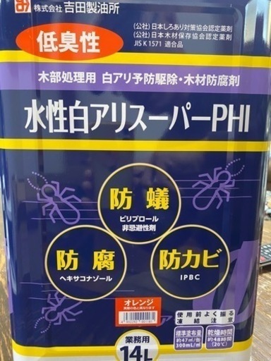 シロアリ