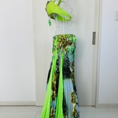 ⭐︎最終値下げ⭐︎【Hanan】ベリーダンス衣装　グリーン色