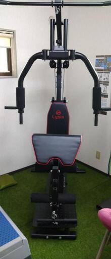 ホームジム ライシン BODY WEIGHT GYM DX 注文 LS-SA-690