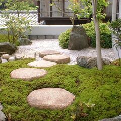 ◎京都で植木の剪定、お庭の手入れ致します。剪定受付中！◎京…