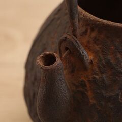 龍文堂造 鉄瓶 鉄ビン 鉄びん 煎茶道具 湯沸 (R2280aaxY)