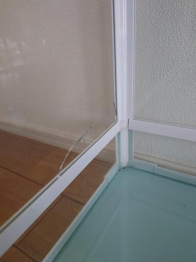 ガラスケージ パンテオン ダントツ ライト セット 爬虫類