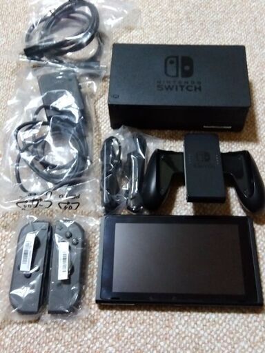 ニンテンドーswitch本体グレー　ケース付き