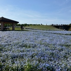 福岡市東区辺りでカラオケ、飲み友募集！