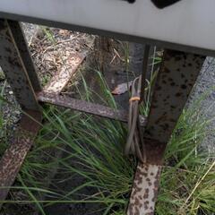 店頭用　サンワプロポ　SANWA 　電飾看板　ラジコン