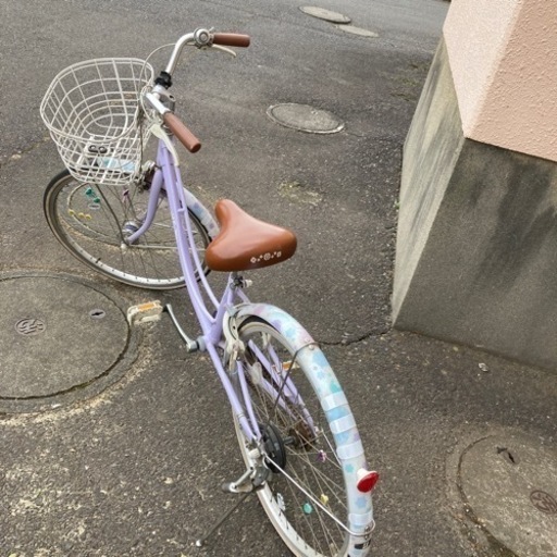 ブリヂストン 子供自転車24インチ | tarabyavetlife.com