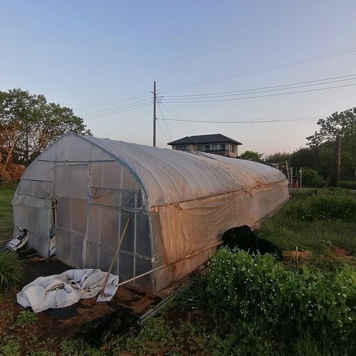 農業用パイプビニールハウス 中古　現場引き取り限定