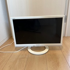 シャープ　TV 人気の白