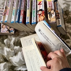 ワンピース100冊、1～100、プラス16冊