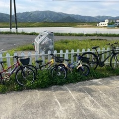 自転車4台あります。